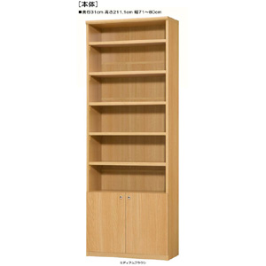 下扉付きA4書斎頑丈ラック 高さ２１１．１ｃｍ幅７１～８０ｃｍ奥行３１ｃｍ厚棚板  扉高52.5cm