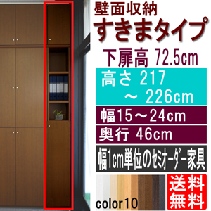 幅が1cm単位で指定できる！ 上下扉付き 隙間利用型 壁面家具 木製